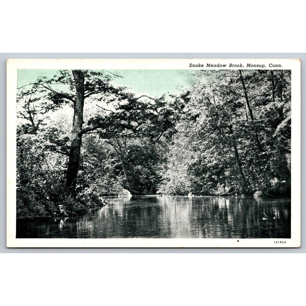 Vtg 1928 Postcard Snake Meadow Brook Moosup CT Connecticut Curt Teich Blue Sky
